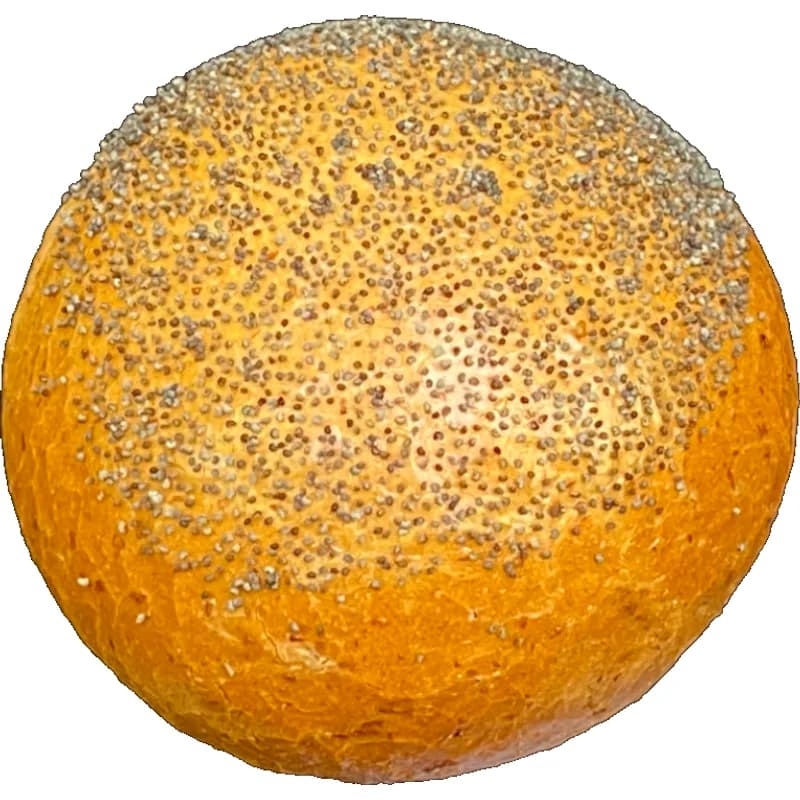 Pistolet Maanzaad